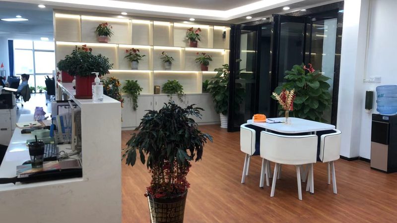 战略管理咨询：麦肯锡与行业新星的对比解析
