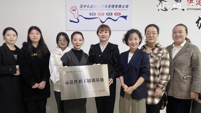 制造企业管理咨询项目流程：揭秘高效变革之路