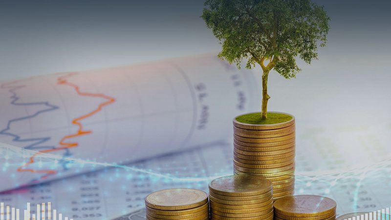 企业战略咨询实施步骤：解码成功之道